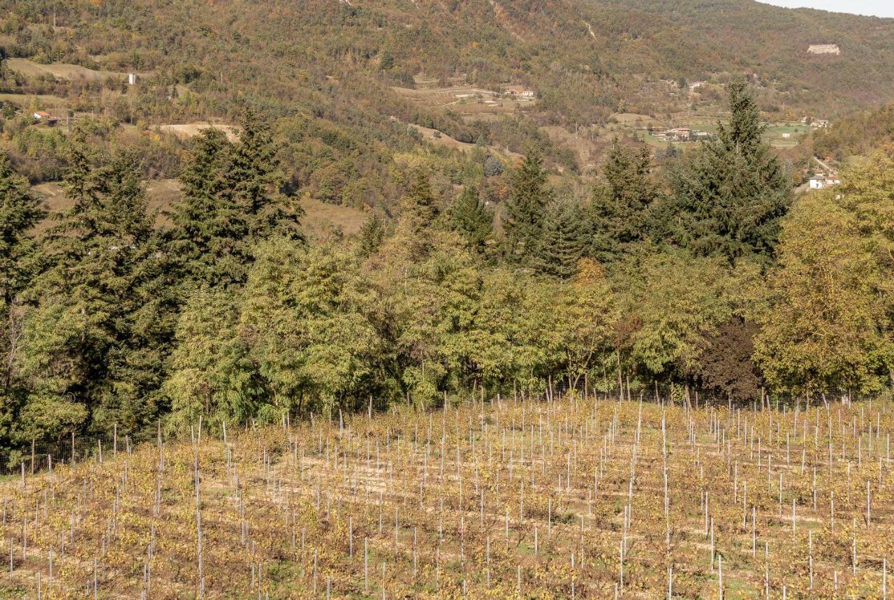 Tenuta Pian D'Attesio - Agriturismo Castelletto Soprano Eksteriør bilde