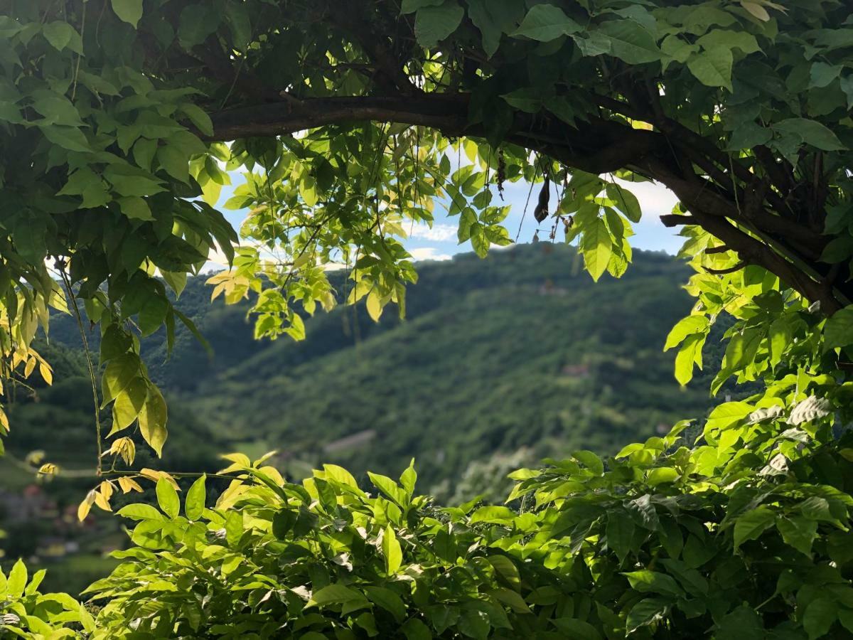 Tenuta Pian D'Attesio - Agriturismo Castelletto Soprano Eksteriør bilde